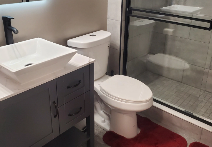 vanity top and toilet in a renovated bathroom